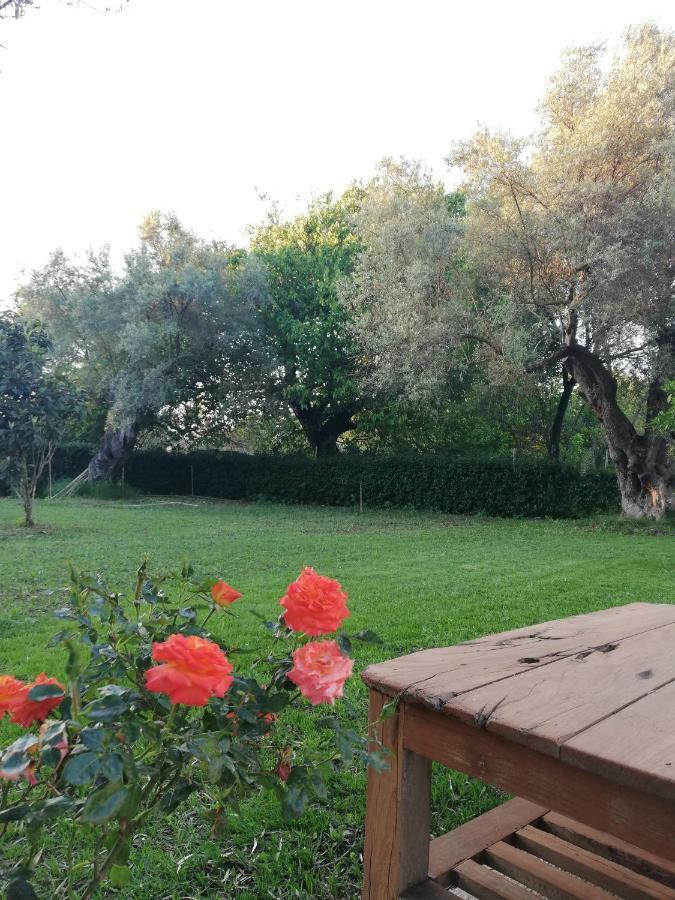 La Casa Di Caterina: Nature,Relax And Private Garden Lefkáda Exteriör bild